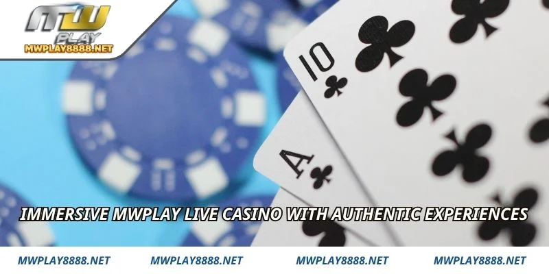 Immersive mwplay Live Casino with authentic experiences