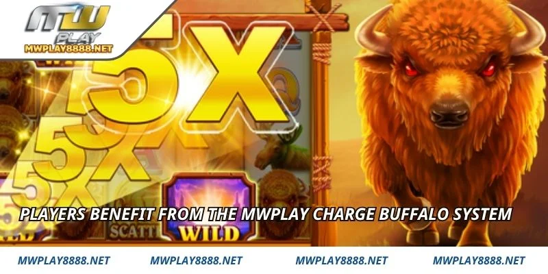 Players benefit from the mwplay Charge Buffalo system