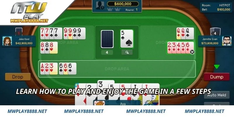 Learn how to play and enjoy the game in a few steps