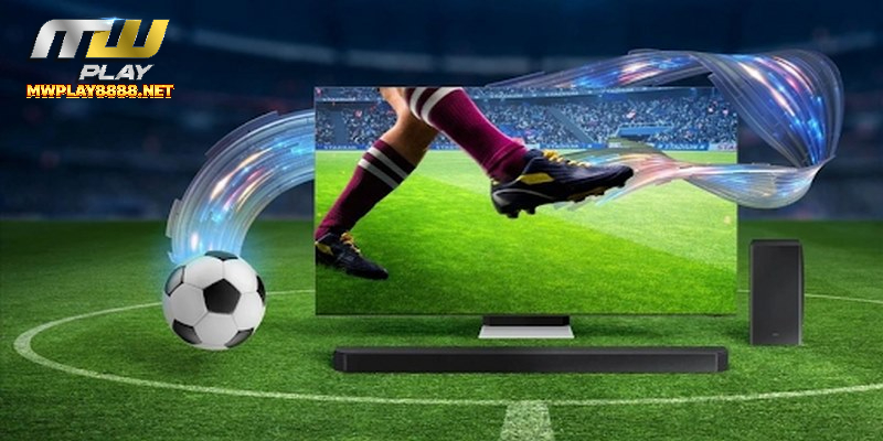 Risks Associated with Online Sports Betting