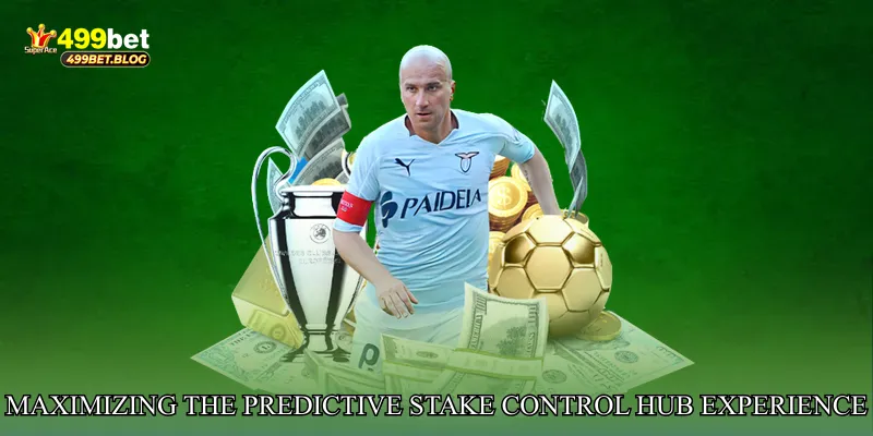 Maximizing the Predictive Stake Control Hub Experience