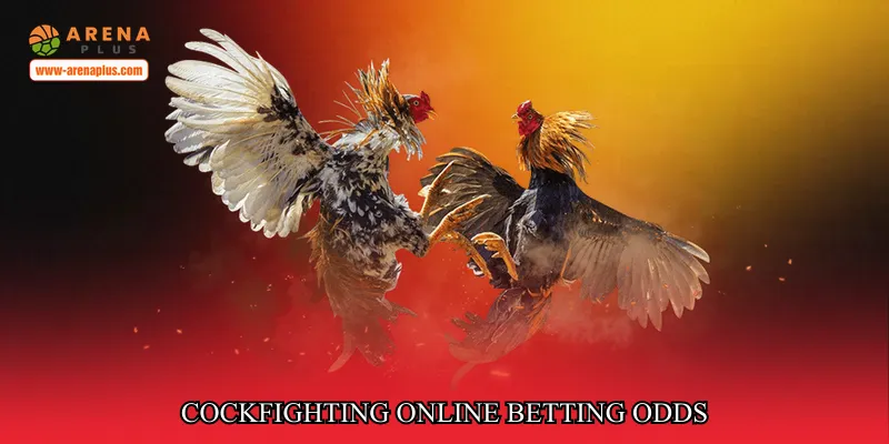 cockfighting online betting odds