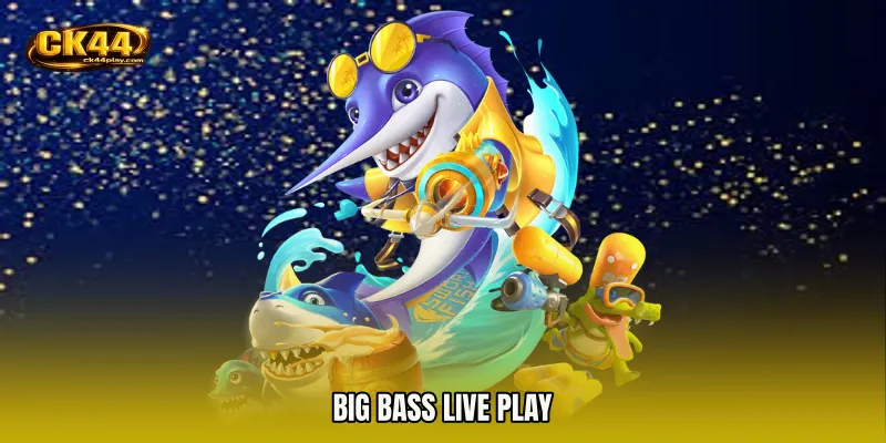 Big Bass live play