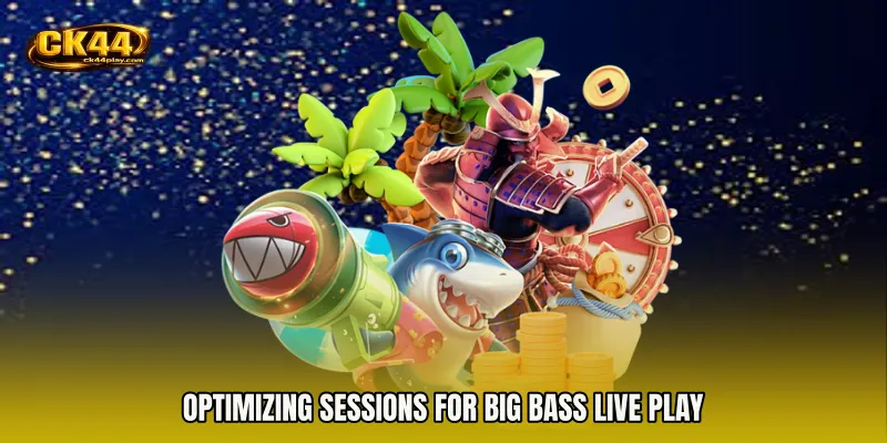 Optimizing Sessions for Big Bass live play