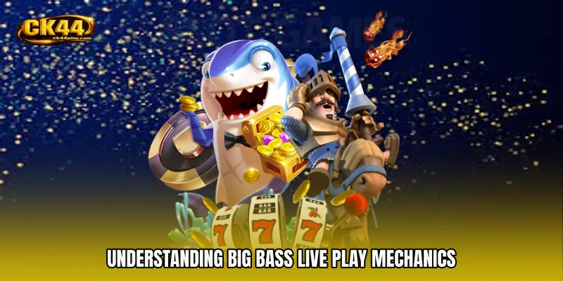 Understanding Big Bass live play Mechanics
